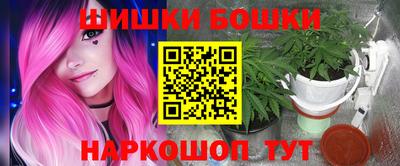 дмт Дубна