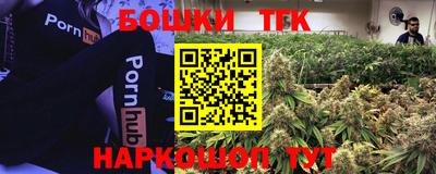 дмт Дубна